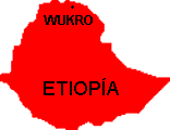 Mapa de situación de Wukro en Etiopía